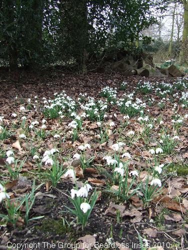 dunhammassey (12)